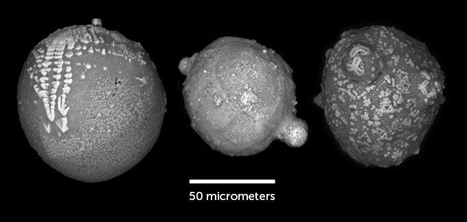 Illustration of an asteroid hitting Antarctica